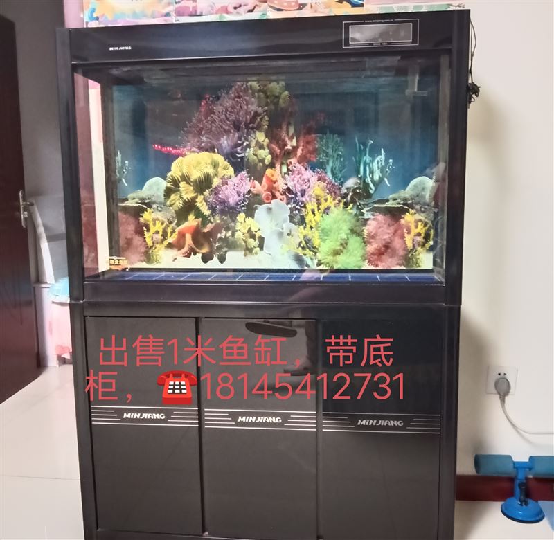 出售閩江魚缸